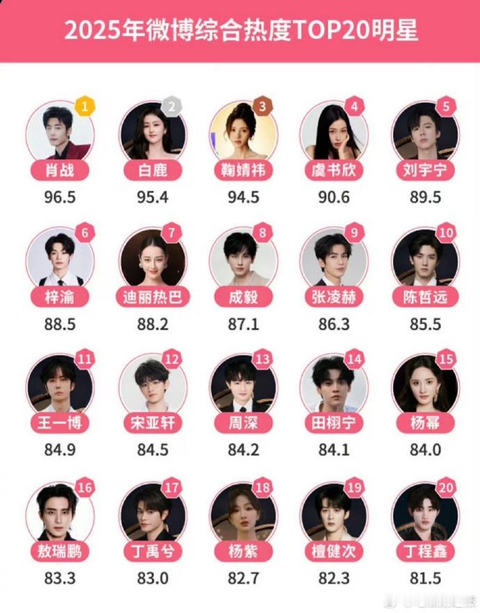 肖战以亮眼的热度表现登顶综合热度榜，位居榜首，肖战登顶 2025 热度榜，在年度