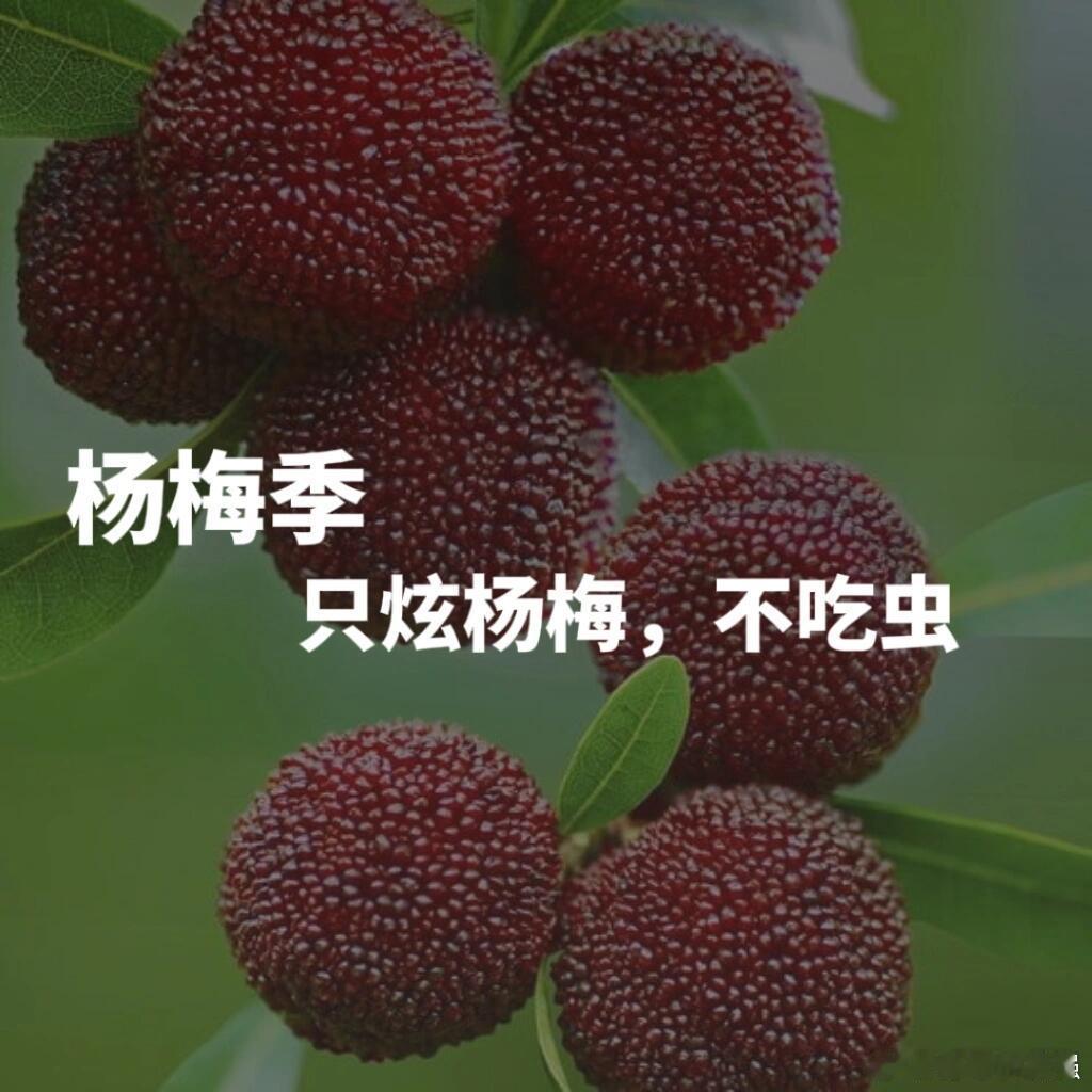 #学会这几招放心炫杨梅# 杨梅虽然美味，但总是让人觉得吃着不是特别放心，特别是用