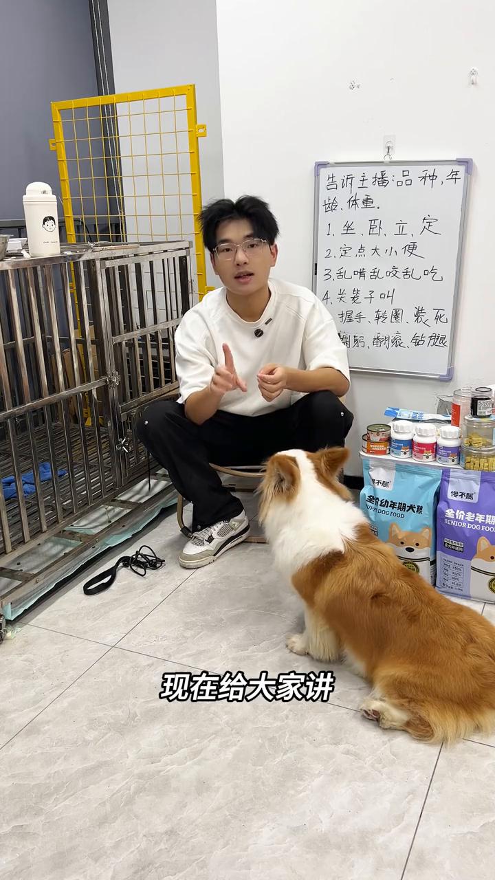 现在给大家讲狗狗吃饭怎么去等食。盆子里面的食物只要放在这里，小狗就立马开始吃了。