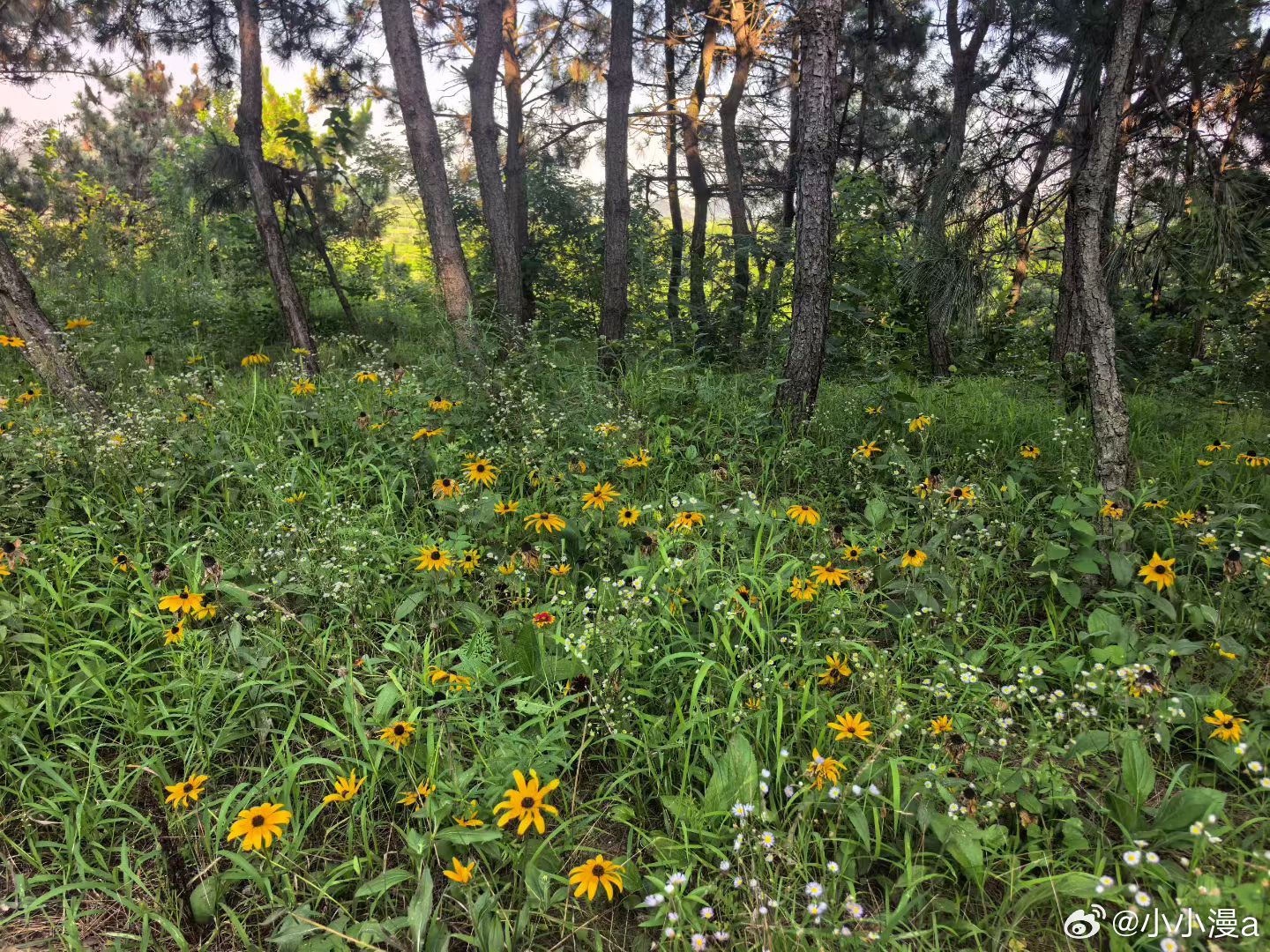 千淘万漉虽辛苦，吹尽狂沙始到金。——刘禹锡 