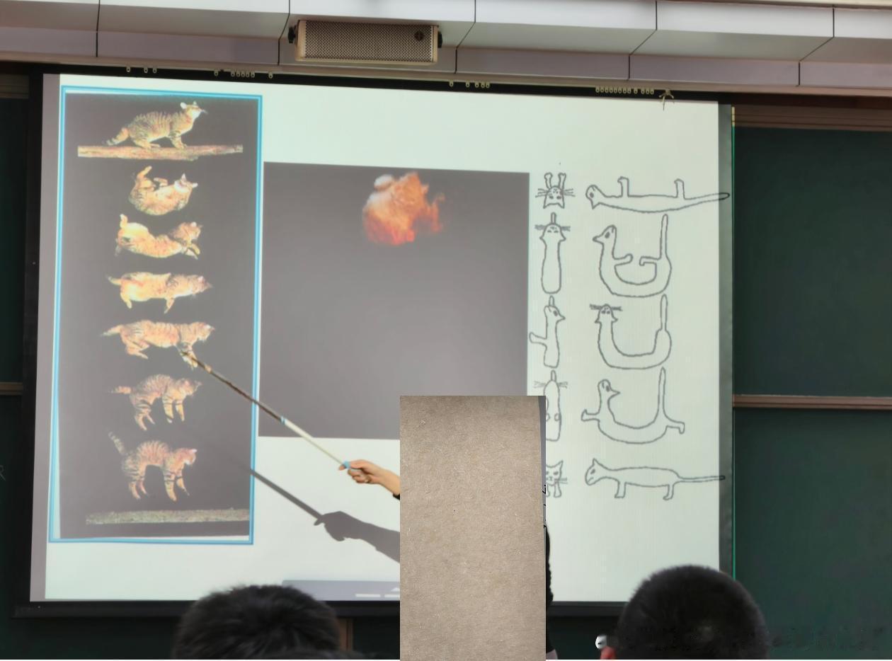 49335【课件上的丑猫】末世来临，十二星座选择你的丑猫三视图 