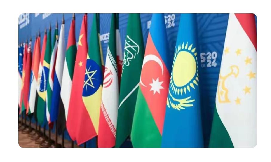 中国牵头部分金砖国家1月9日在南非海域搞“和平意志 - 2026”联合海军演习，