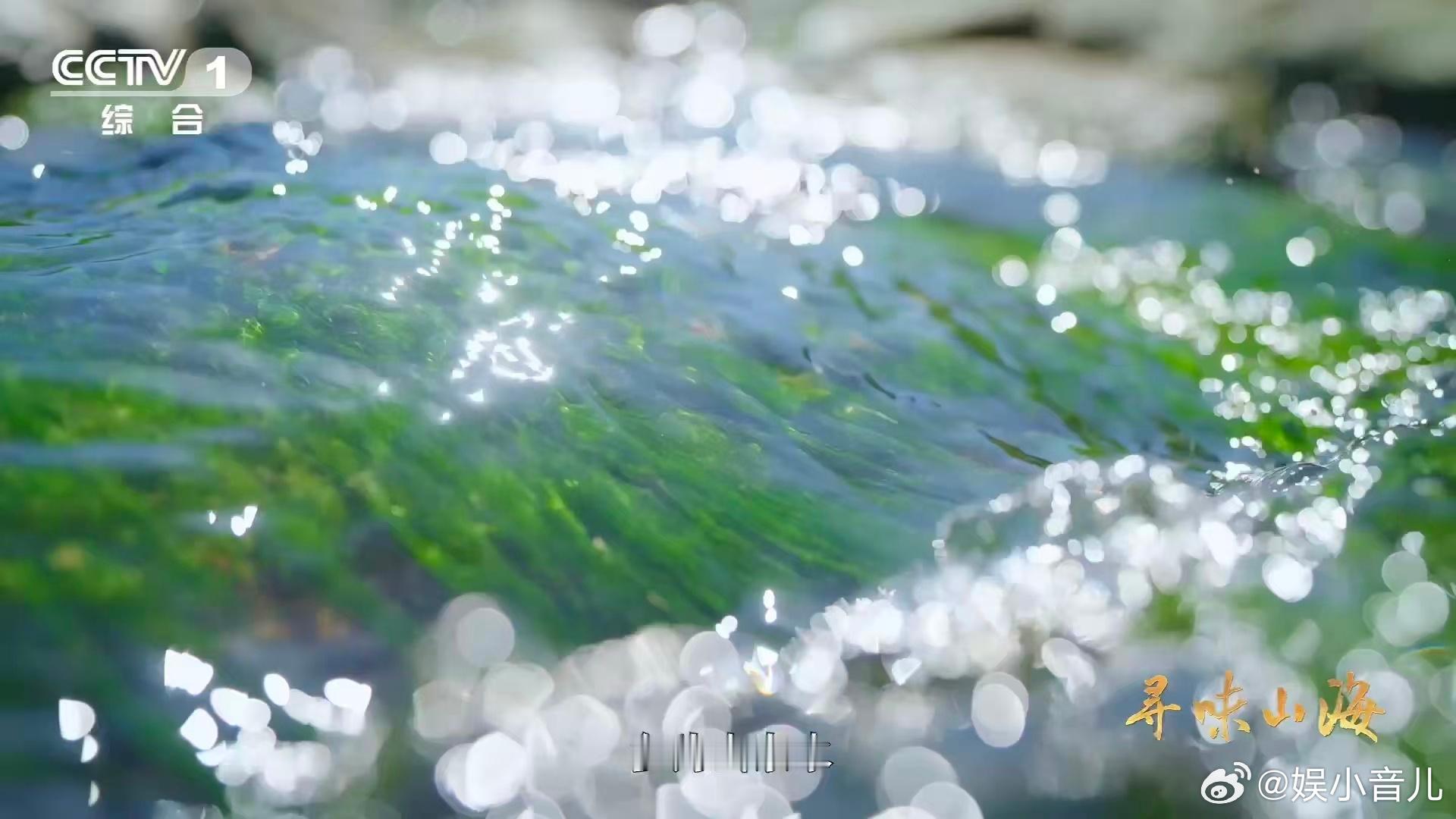 福建有种鸭越老越贵 选白鸭摸脚掌也有讲究，茧子越厚说明鸭子年龄越大，这个判断标准