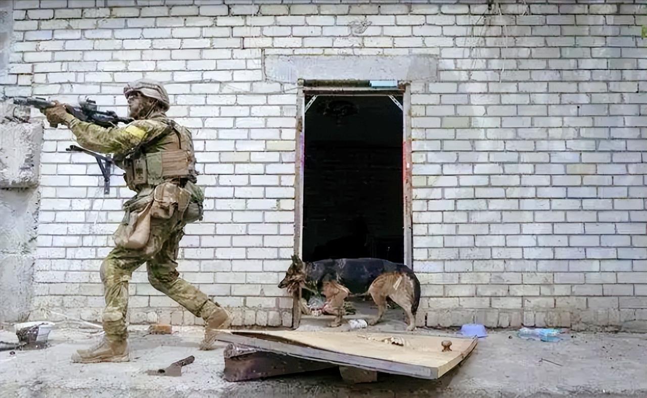 俄乌掐架满四年，俄军无人机跟不要钱似的往乌克兰砸，看着攻势拉满，可乌克兰愣是没垮