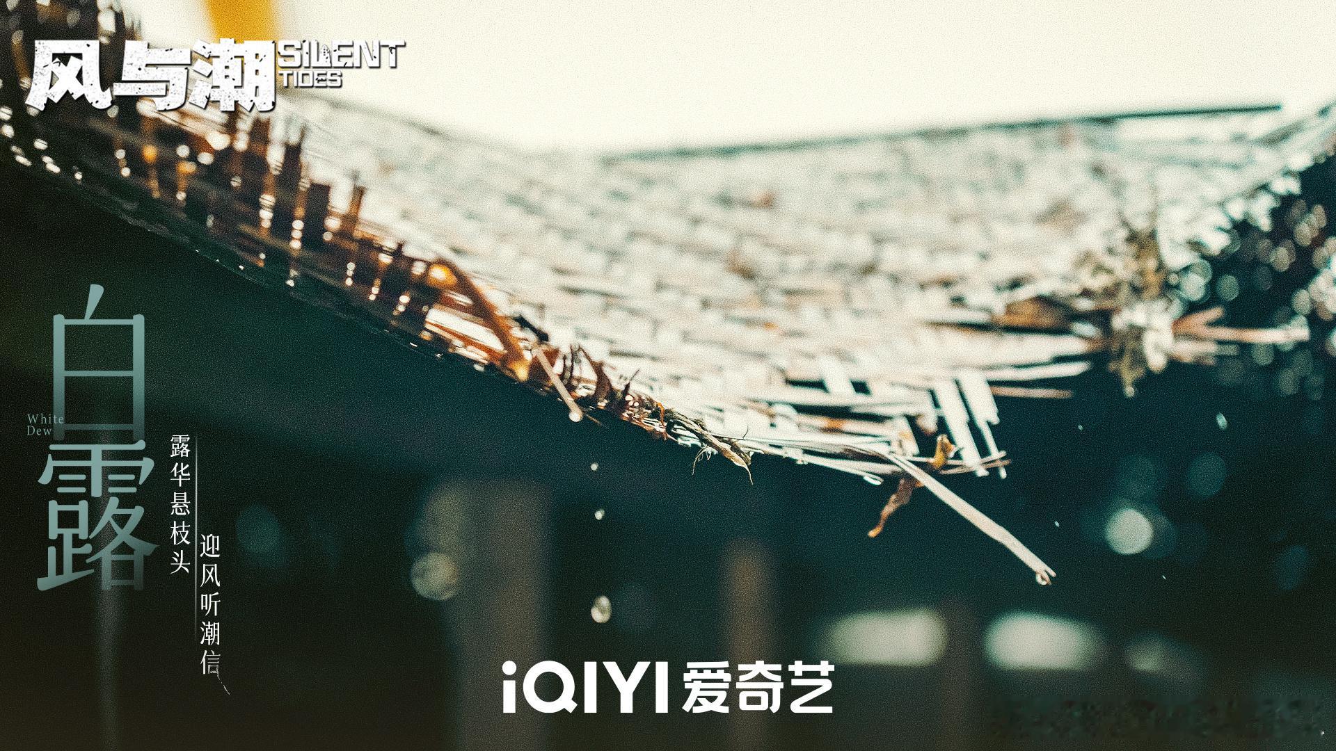 任嘉伦《风与潮》白露海报，气象博主又上线了 ​​​