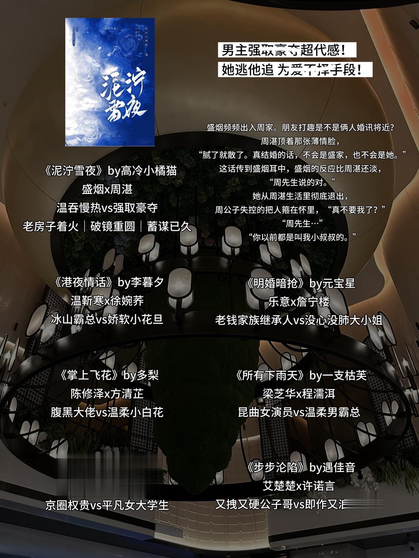 《泥泞雪夜》by高冷小橘猫 盛烟x周湛