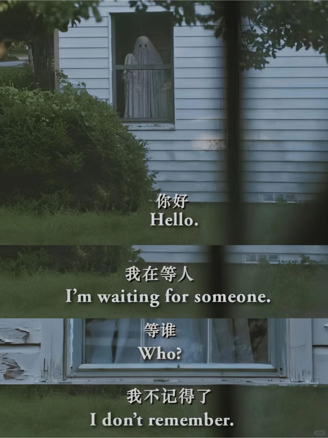 😭救命❗我怎么才刷到❗我要安利给全世界