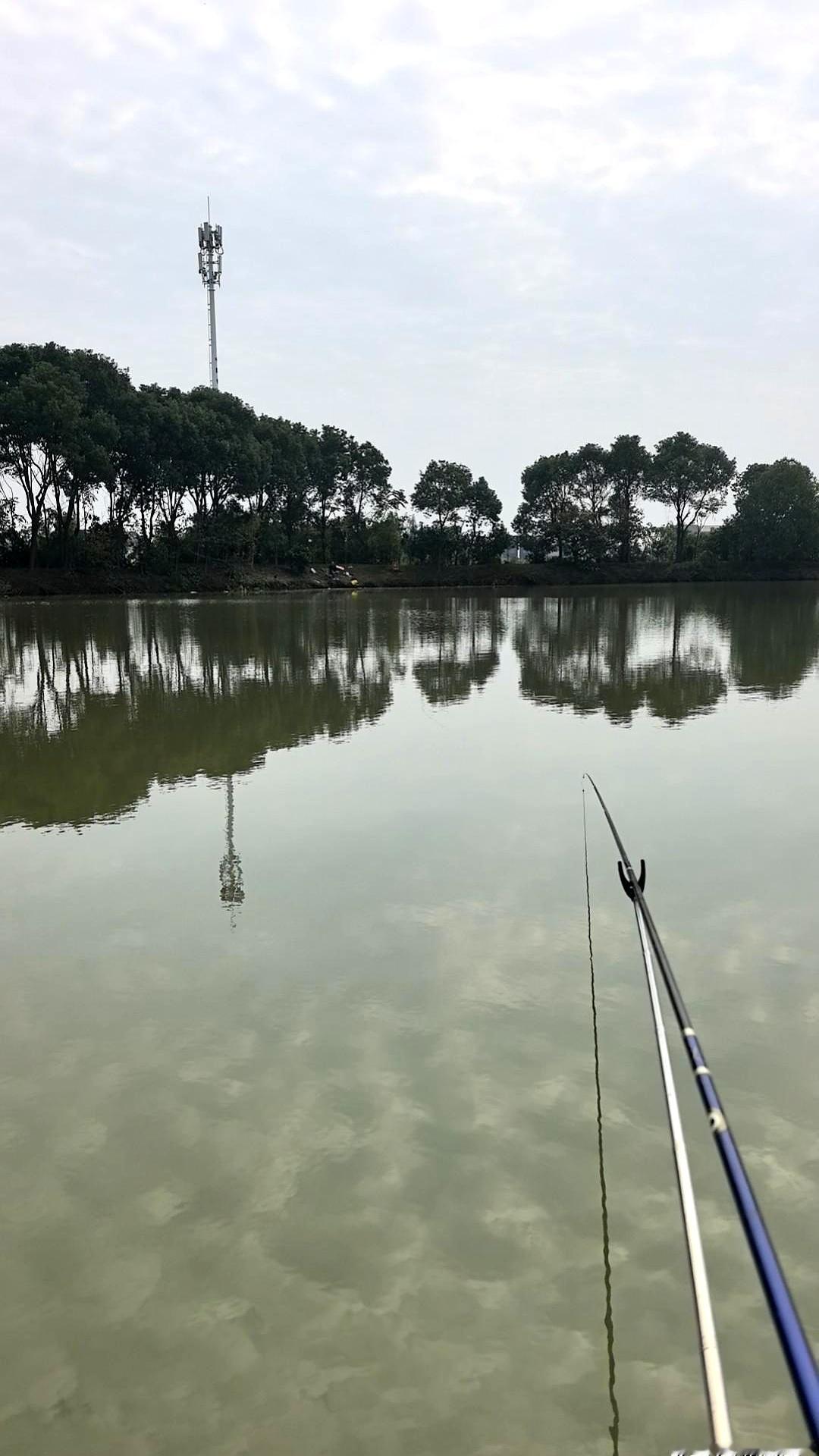 上周六，我们四个人到长湖边的水岸农家休闲农庄钓鱼、吃饭，本来玩得挺开心，结账时却