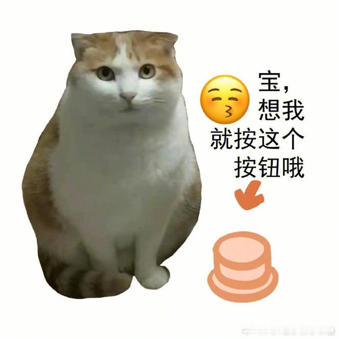 猫猫表情包 