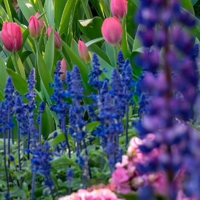 0000人生没有白走的路，每一步都算数。那些吃过的苦、扛过的难，都会变成底气，支