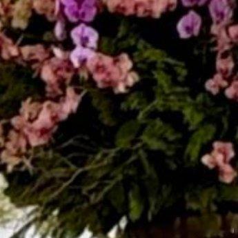 每日一善 人生路上，要学会善待，善待他人，可以让人生走得更远；善待自己，可以让生