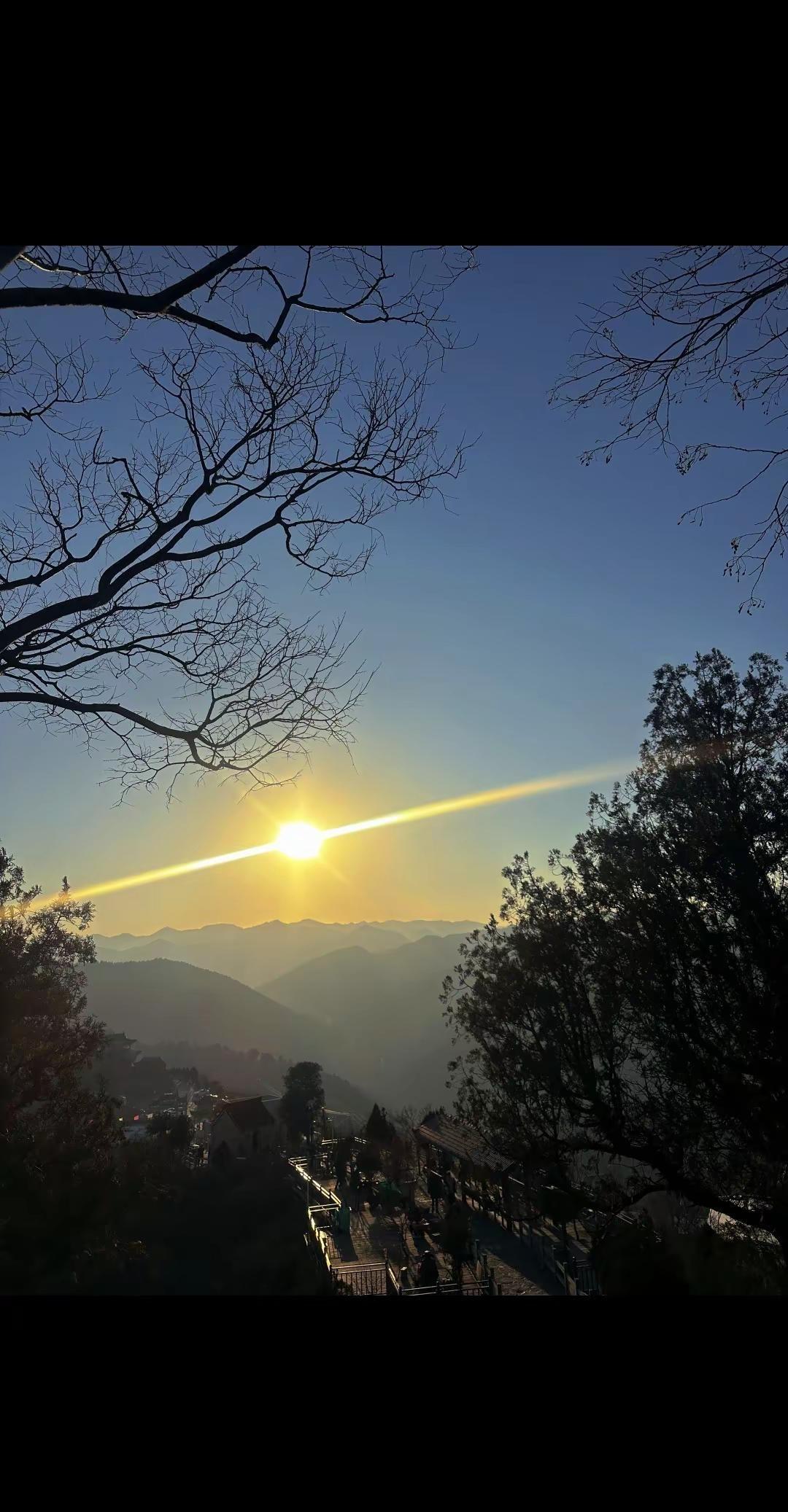 最后让你安宁的不过是一个阳光充足的角落，和一颗不再四处张望的心