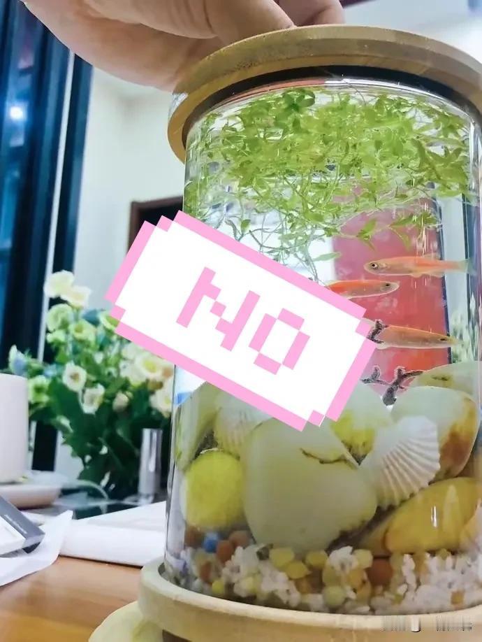 声明！！今天要更正我之前的一个说法，前阵子我有篇文章里说和田玉怕反碱的话，为了省