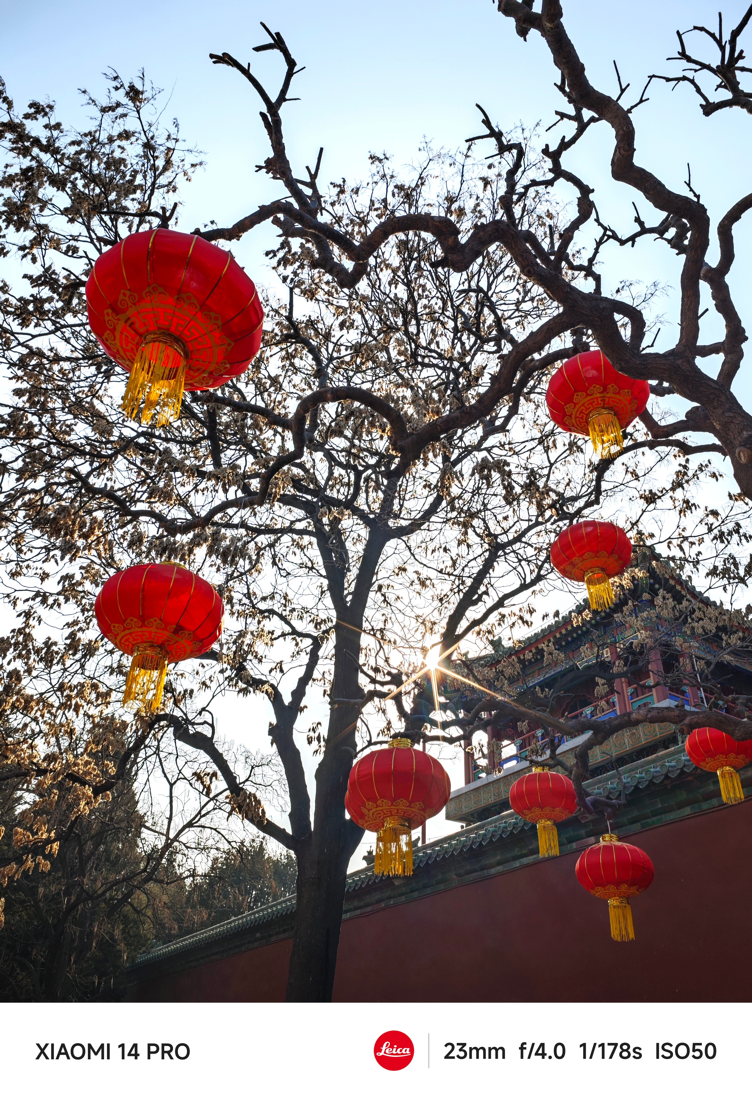 #每天早起打卡#早上好，假期最后一天 ​​​