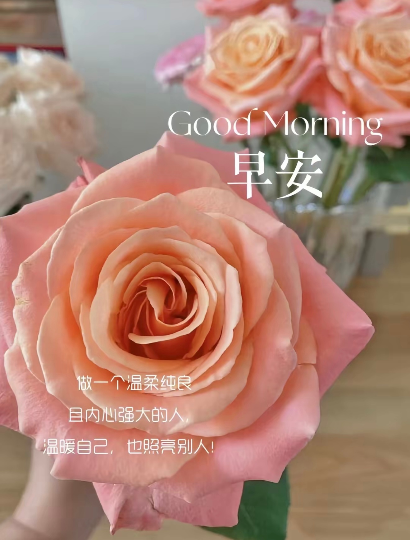 早安 清晨的微风携着温柔如约而至，放下昨夜的烦恼与焦虑，给自己一份从容！好好吃一