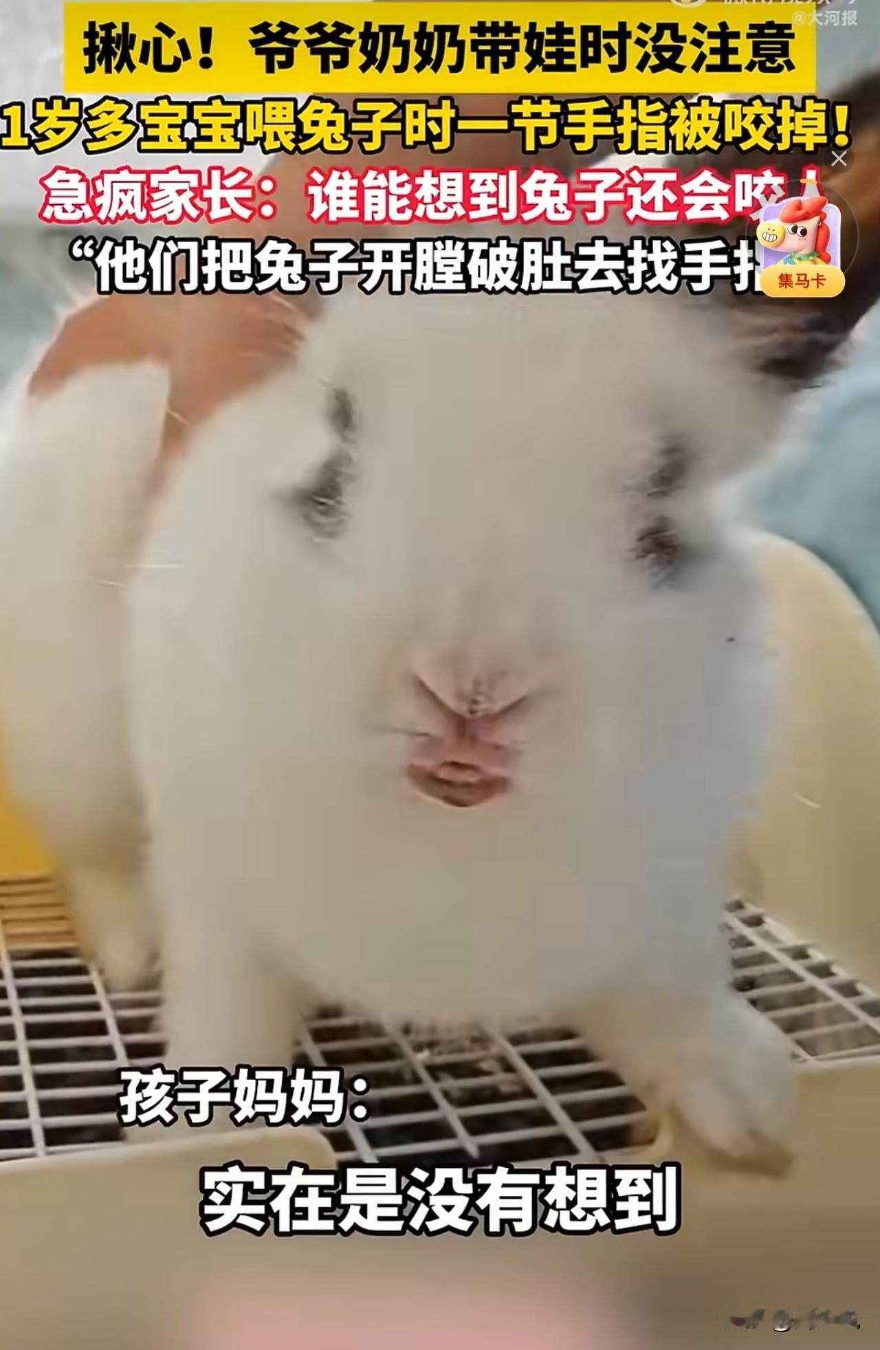 “太吓人了！”河南，一位1岁多宝宝趁爷爷奶奶在厨房做饭，独自捡起茄子喂兔子，就在