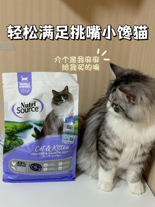 轻松满足挑嘴小馋猫！