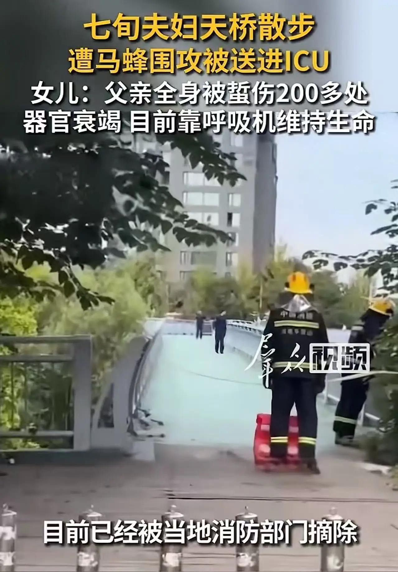 “谁来担责？”河南汝州，70多岁大爷牵着老伴出门遛弯，经过人行天桥时，突然遭马蜂