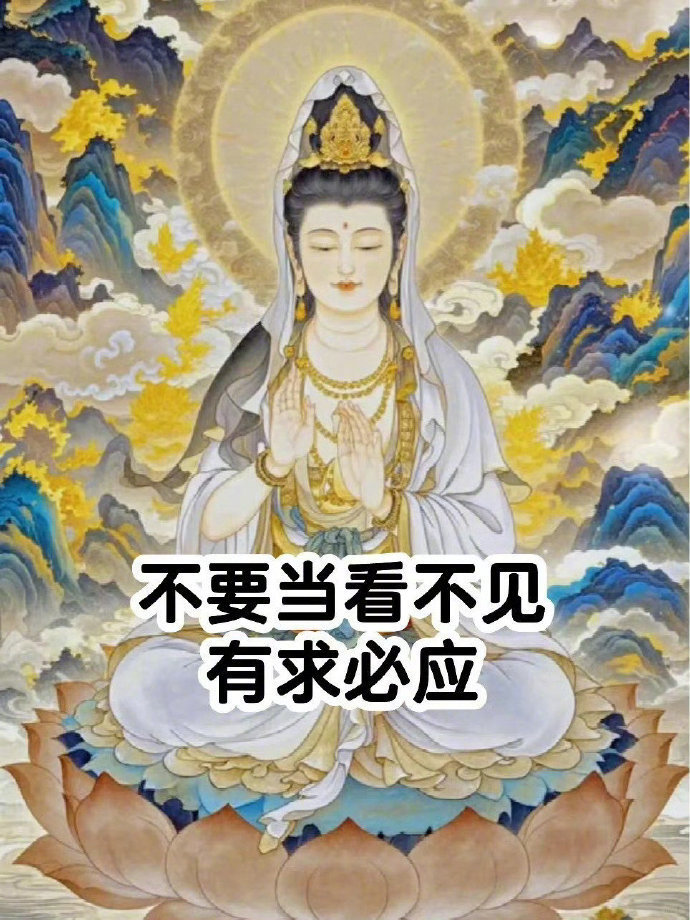 不要当看不见 有求必应，快许愿 ​ ​​​