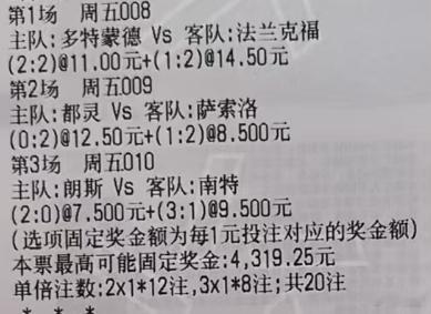 贪总足球：008 德甲 多特蒙德vs法兰克福让负 1-1 2-2 1-2009 