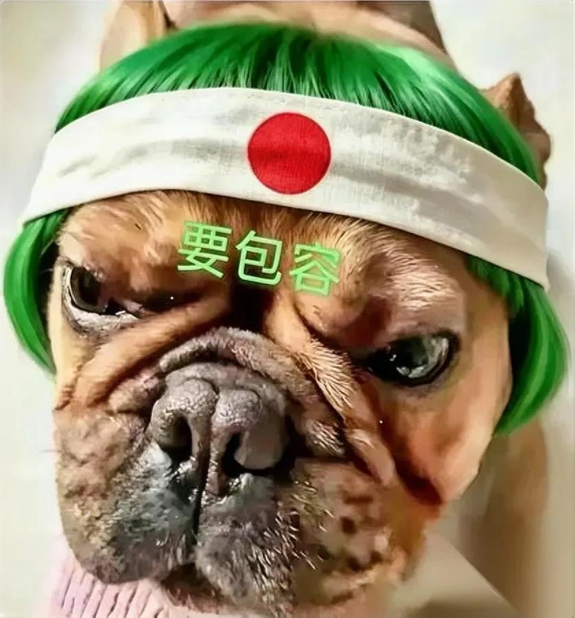 真是笑死人了

老胡又跳出来了

哦合着北理工罚裴轶还罚错了？

他不仅喊着处罚