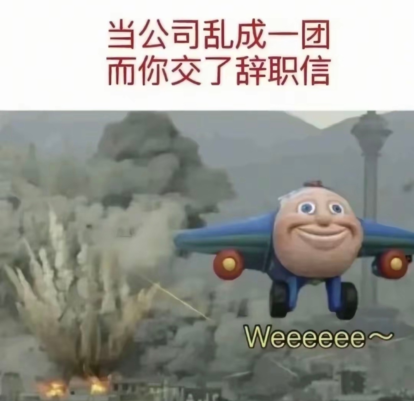 全公司最不会离职的人终于出现了这个图让我没绷住哈哈哈哈