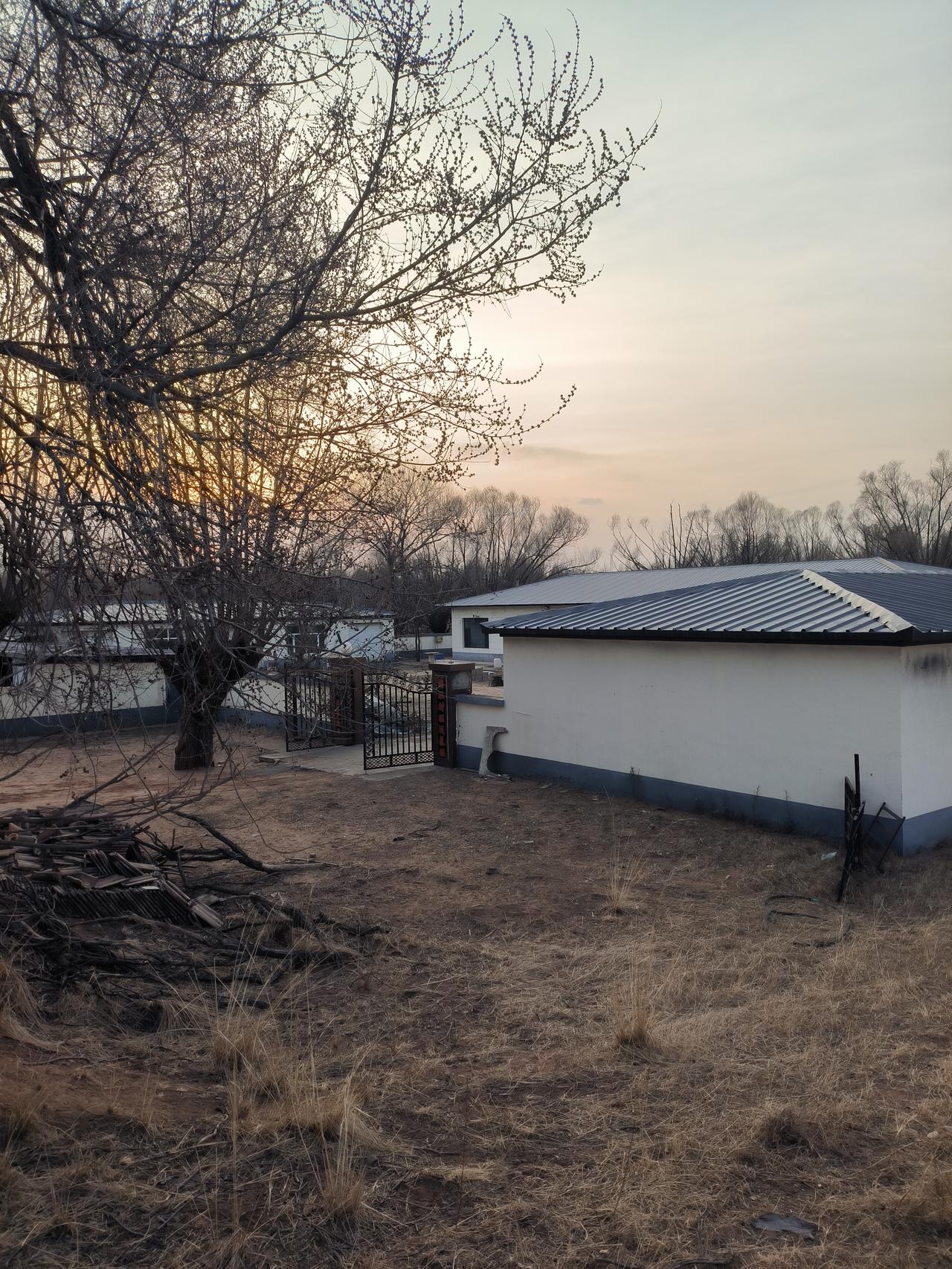 今天一个字累！请工人给旧房子换了门窗，又到老家，清理了院子，剪了果树苗，农民无论