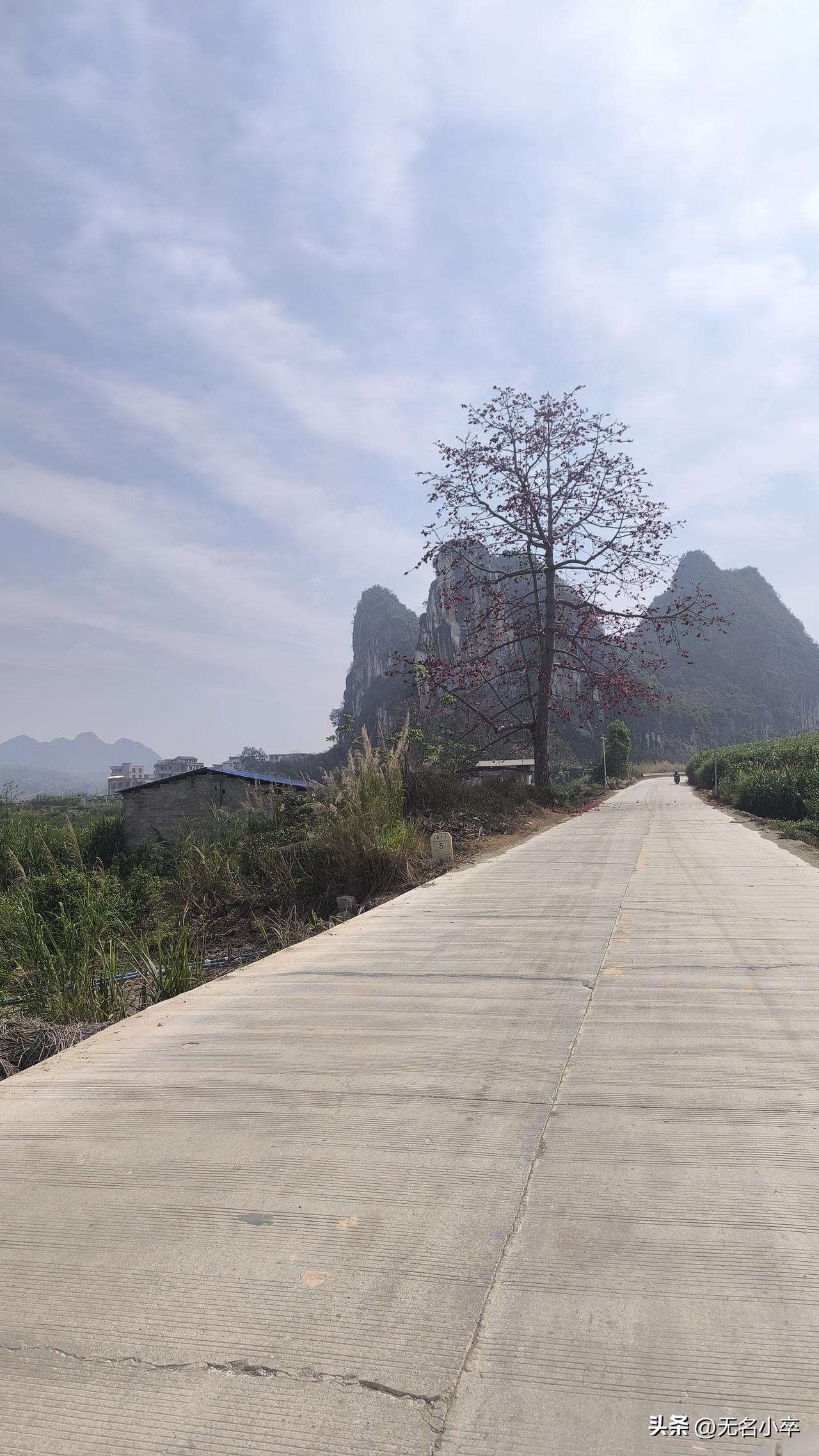 广西果然是最适合自驾游，不仅是我所有去过广西的游客都深有体会，不用去景点就路上，