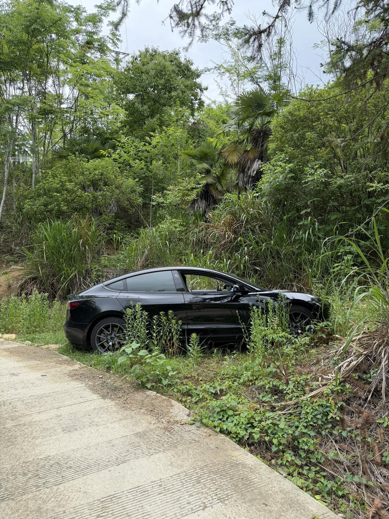 这车怎么停的有点怪怪的呢？
感觉在路边野地里小小便。