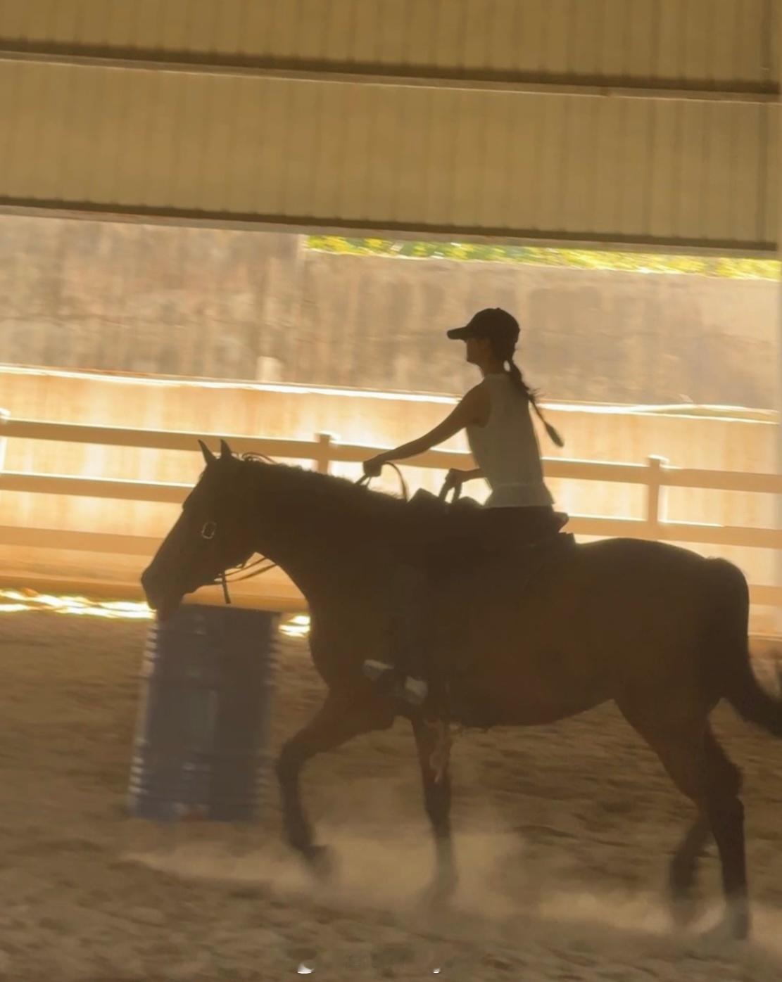 一年一度驯服马儿挑战🐎 ​​​