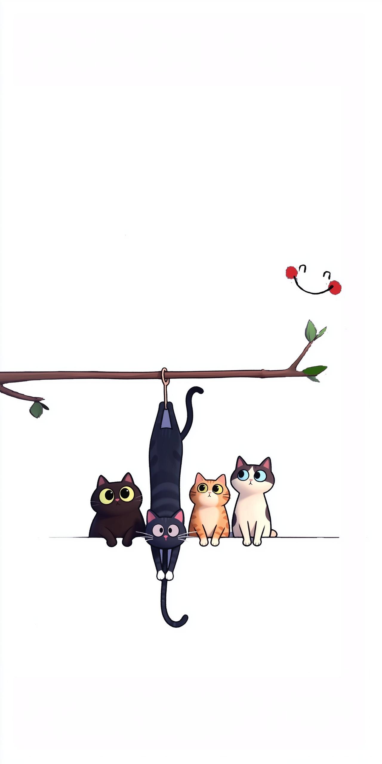壁纸