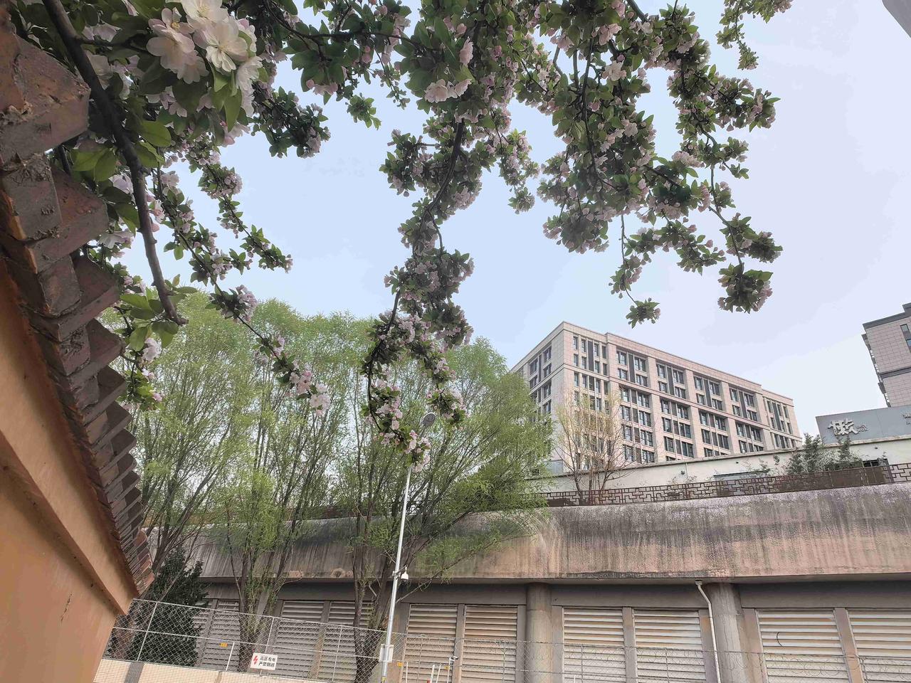 我的今日状态：😁轻松愉快
我这里的天气：☀️晴天