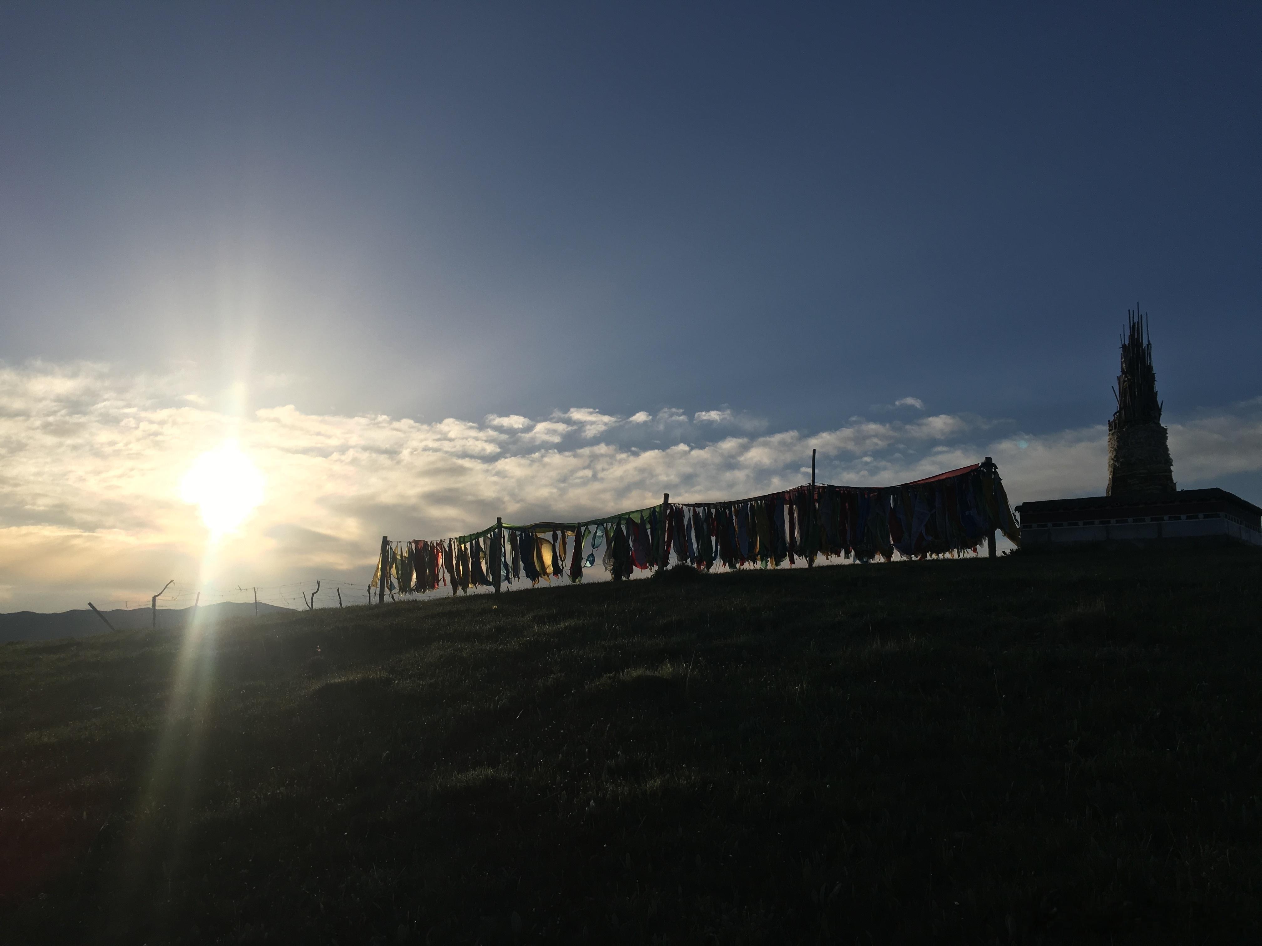 李微漪回应狼王格林去世传闻大年初三一定要去看《重返狼群》的重映 有谁也知道这个电