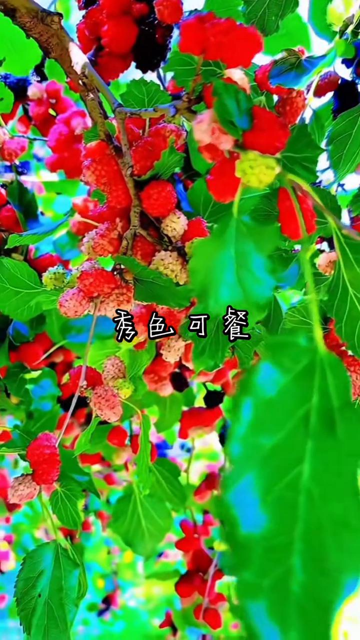 秀色可餐。
麦色可餐。