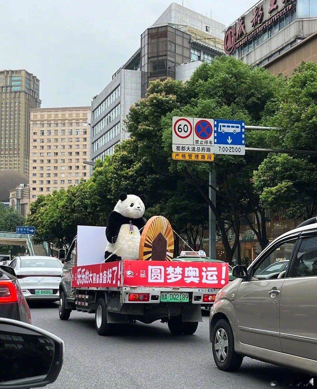 潘展乐你的大熊猫来了！之前开玩笑说想要一只1.9米的大熊猫，成都这边还真给做了一
