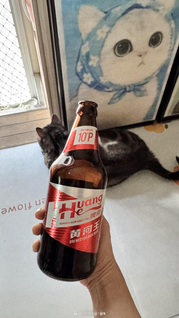 睡觉搭子们[奶牛猫] ​​​