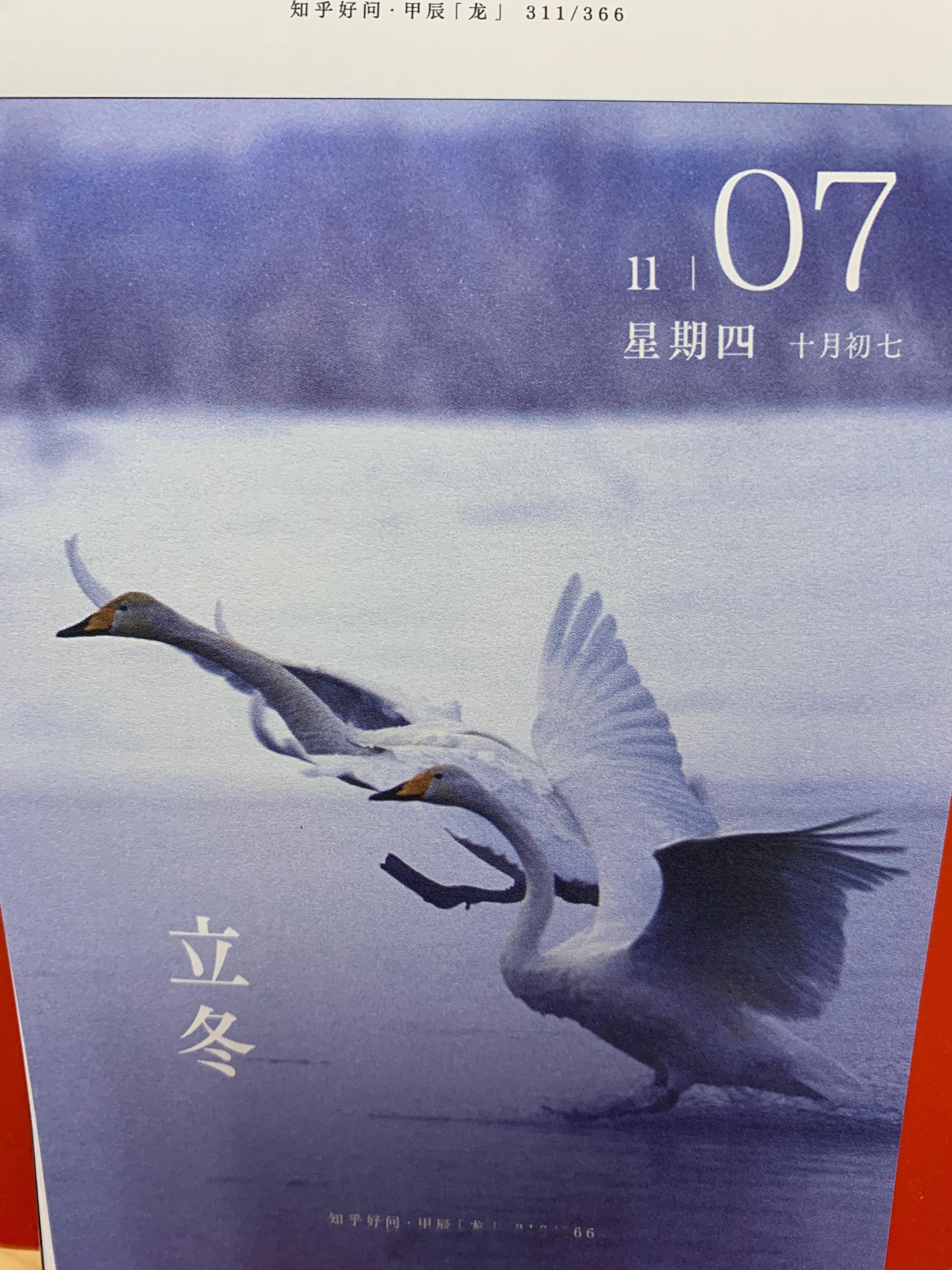 早安朋友们～今儿 ​​​