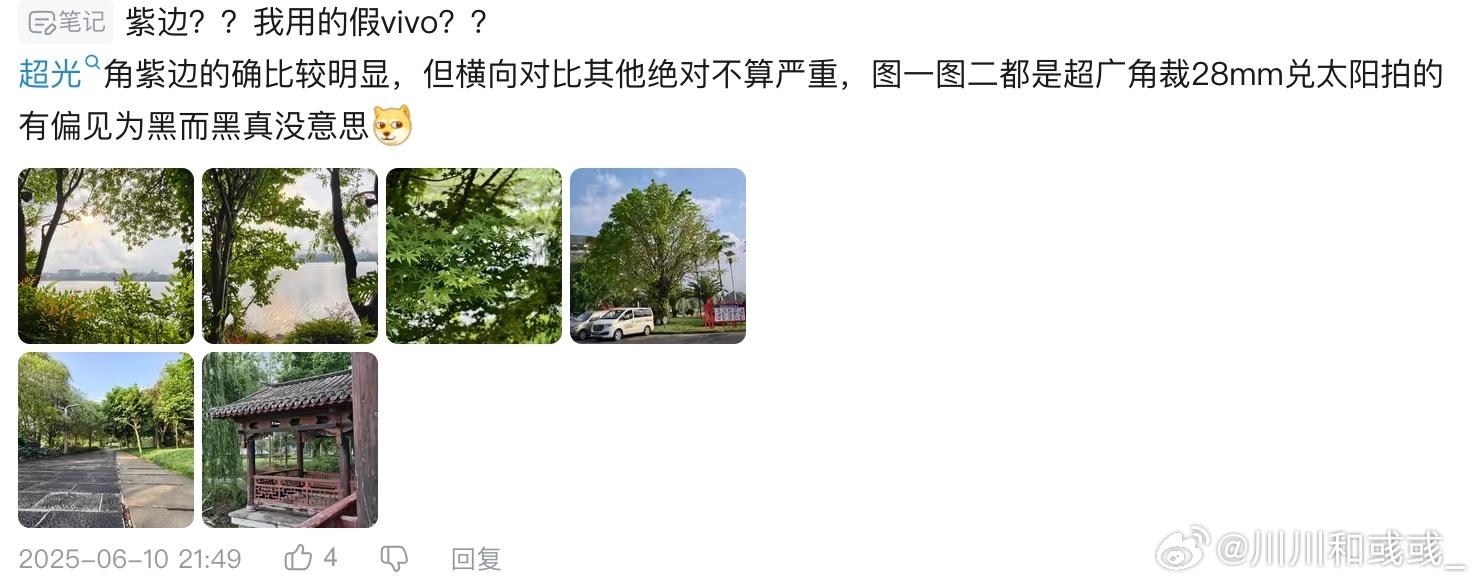 这是我觉得昨天最搞笑的评论，看话术像vivo的，但是看照片和狗头，像串子，完全分