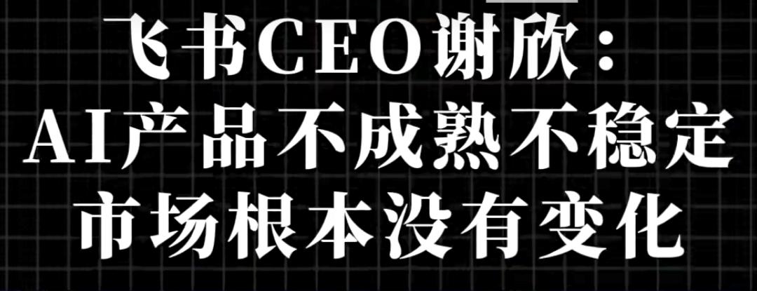 “AI产品不成熟不稳定，
市场根本没有变化。”
这是飞书CEO谢欣新近陈述的一个