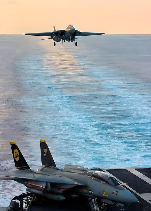猫宁。F-14大猫着舰瞬间 ​​​