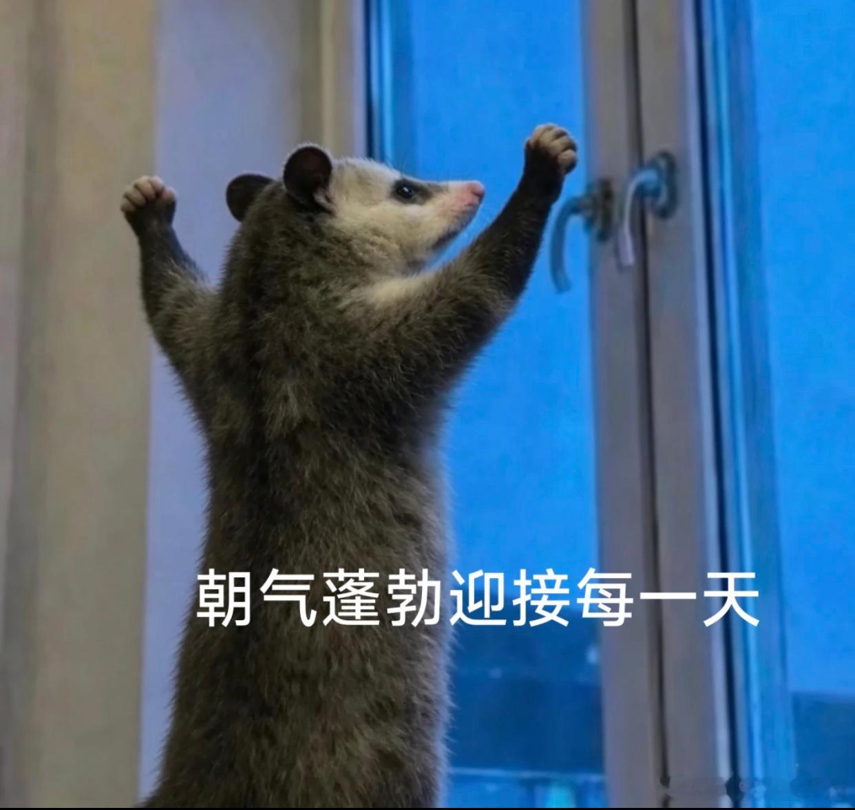 大家早上好啊！美以达成和平协议，霍尔木兹海峡19日开放，特朗普解除对伊朗的封锁。