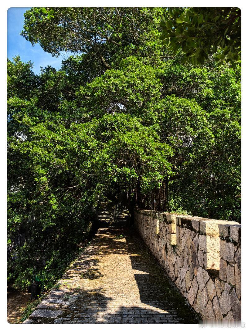 今天又沿着海滨公路走了一圈儿，一直开到大京城堡。三年没来大京城堡也发生了不少变化