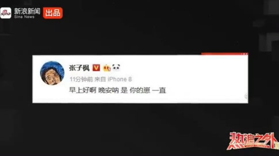 张子枫怀念去世粉丝张子枫在采访中提到已经去世的粉丝，如果还在的话，看到妹妹取得了