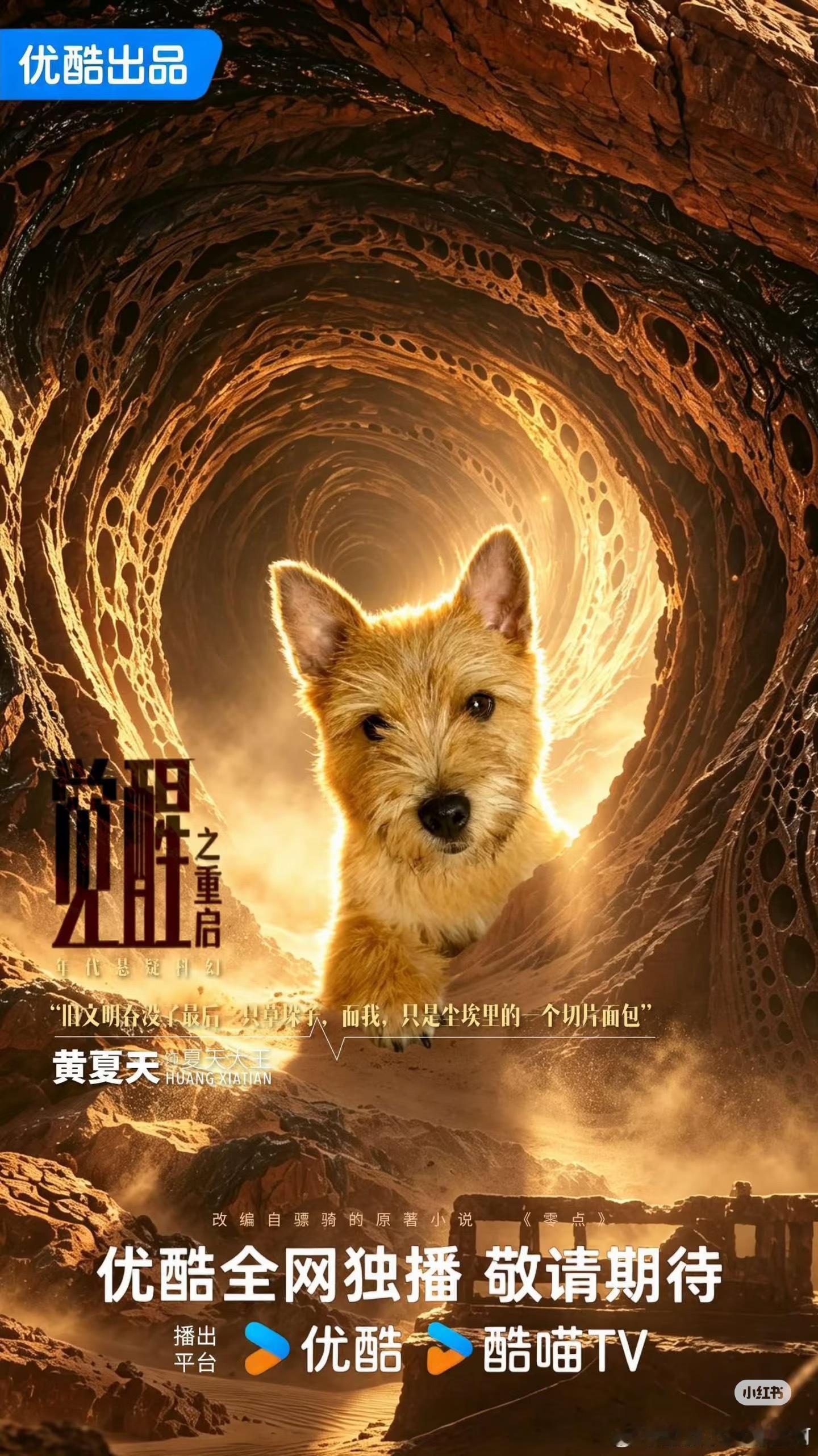 黄景瑜[超话]黄景瑜的小狗也接到戏了 黄景瑜和夏天大王的互动特别治愈，粉丝二创海