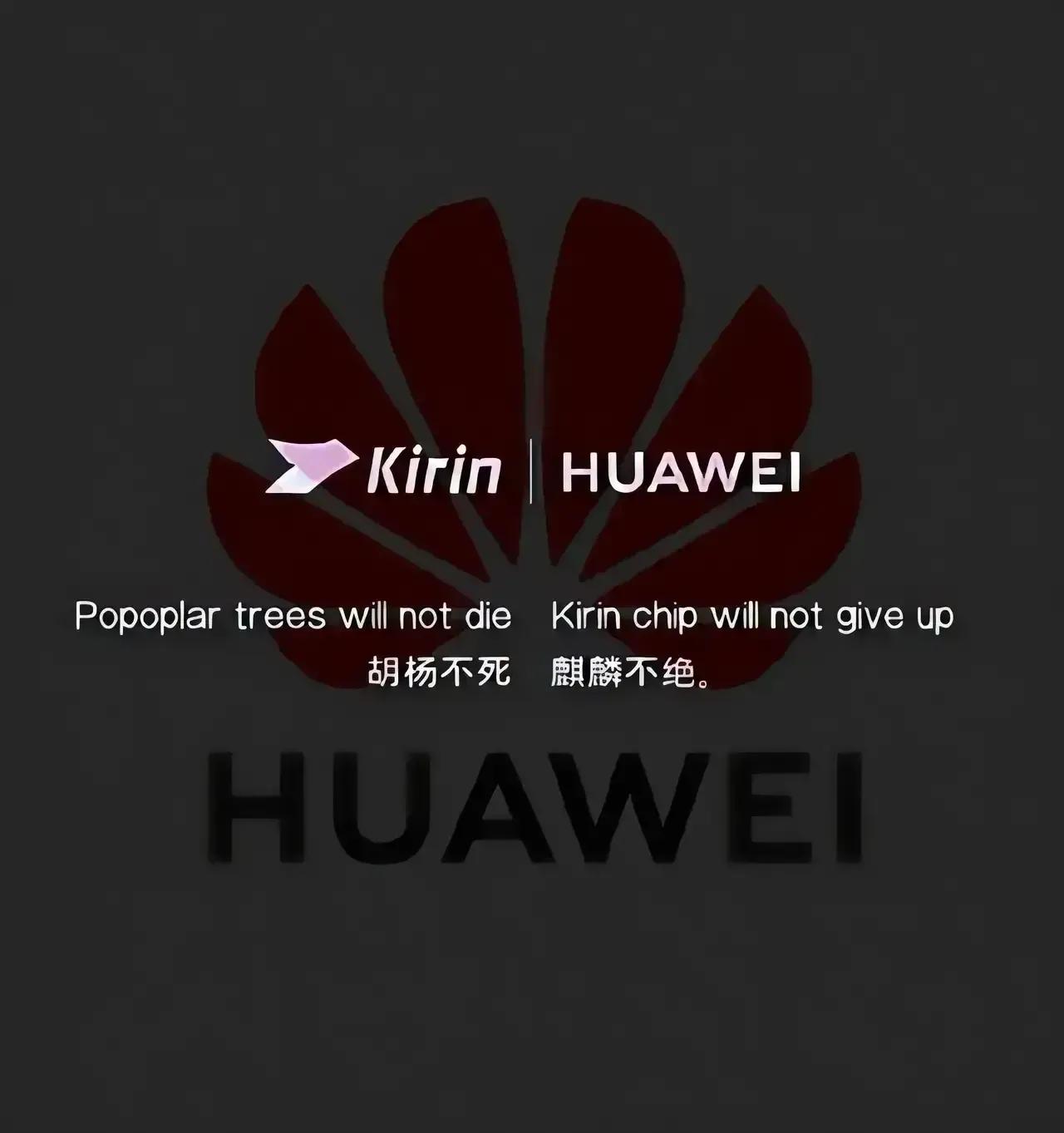 昨晚回看了一加和黑鲨两场发布会，回想起之前有些网友的观点，确实现在手机同质化太严