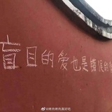 豆苓爱聚汽车