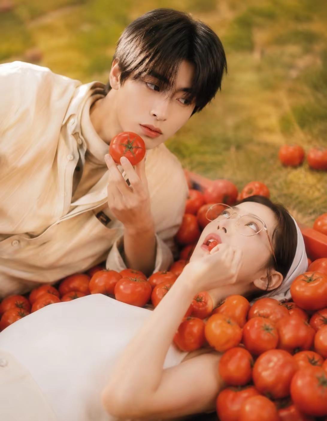 番茄🍅就是文案柳宰cp 柳宰很忙 NEORIGIN sunsetinorang