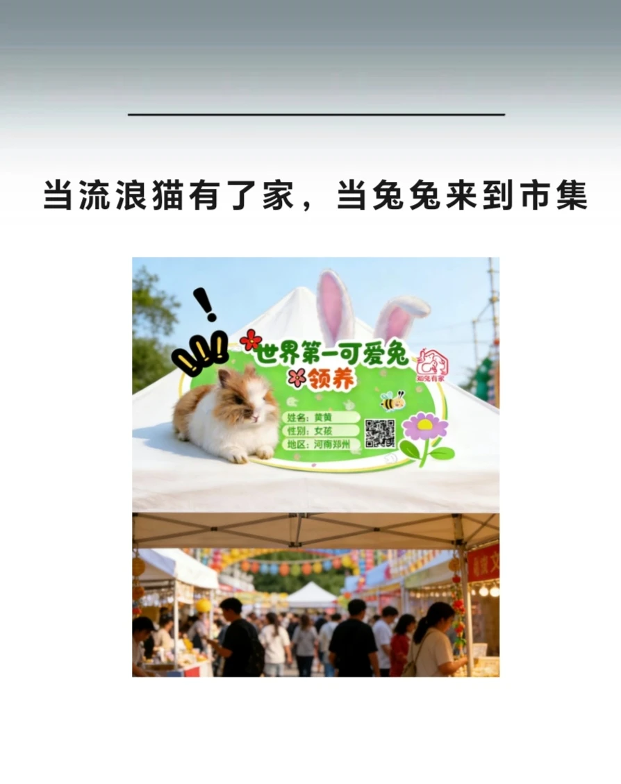 这个周末，来瑞光，等你带来一束光