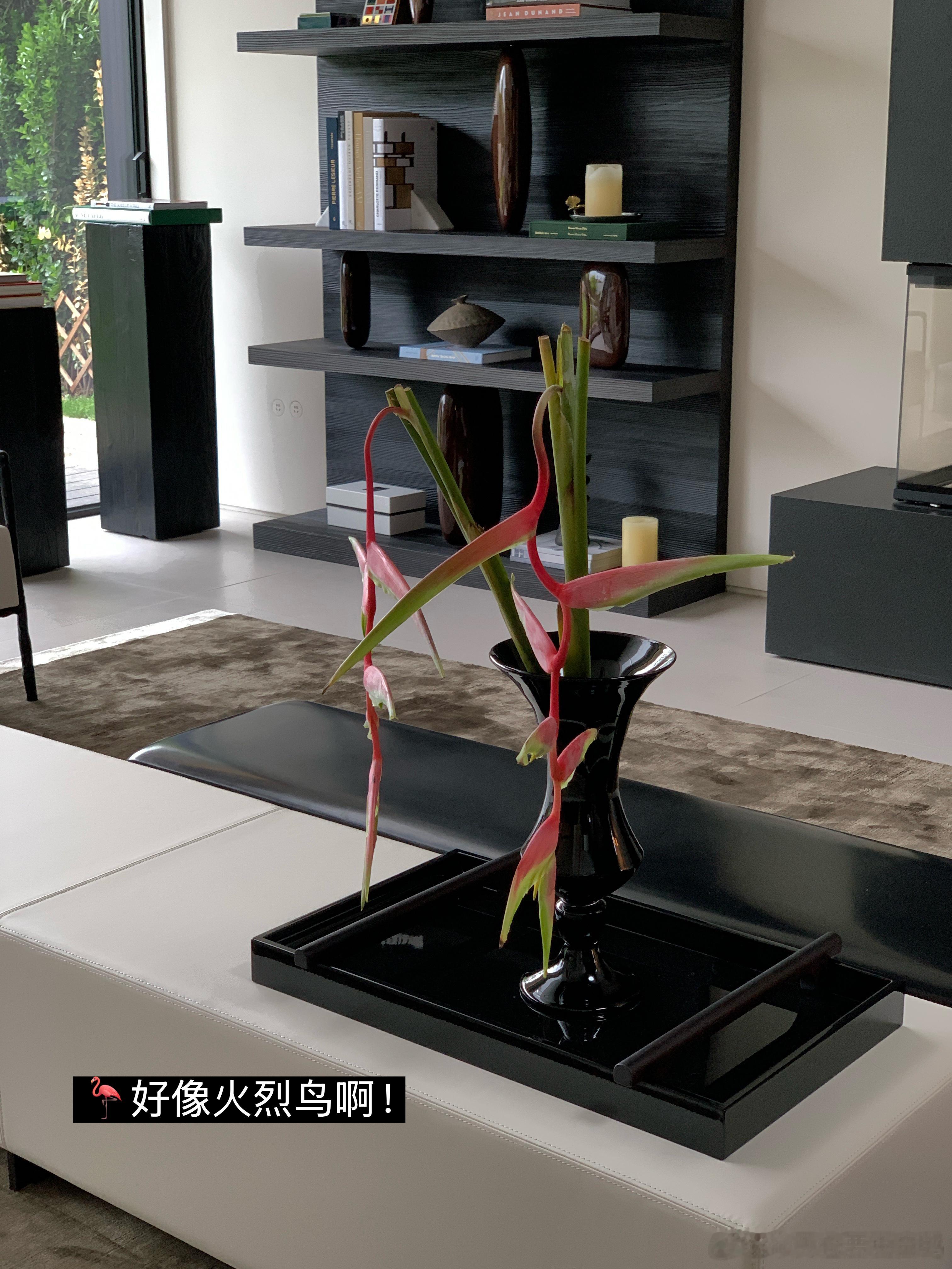 布置完家里出发去公司啦～久违的直播！一会儿见！ 