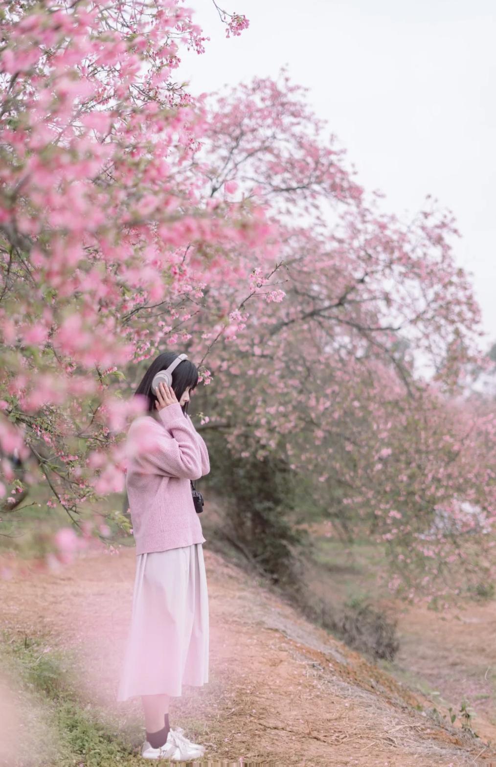 春日生活打卡季每年春天都要去看一次🌸樱花，广东的春天已经来了